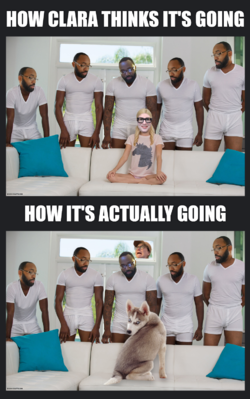 BLACCED VERSUS ATTACCED.png