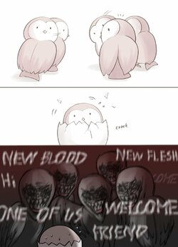 owl hatching jhgardener.jpg