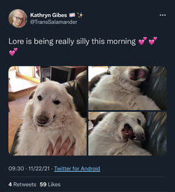 F8566D6E-1665-4E2E-A970-C837F4AC2C98.jpeg