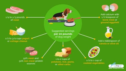 How-Much-Homemade-Dog-Food-to-Feed-Your-Dog-Serving-Sizes.jpg