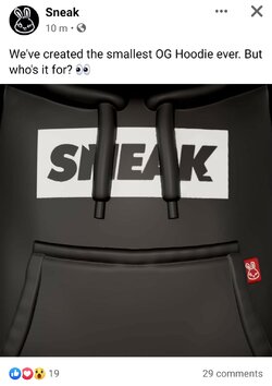 sneaktard 2.jpg