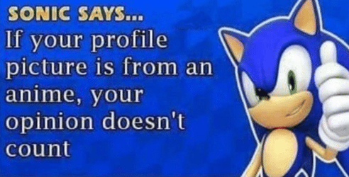 sonic-says-if-your-profile-picture-is-from-an-anime-50433959~2.png