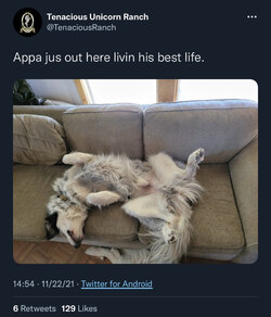6670C921-60E8-4653-9EA1-9973D31509C6.jpeg