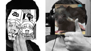 Kiwi Law 2.png