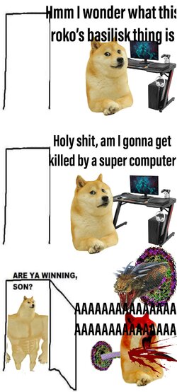 9j4kw4q7ap751.jpg