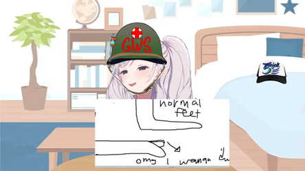 355t4.png