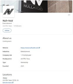 NullVoidlinkedin.jpg