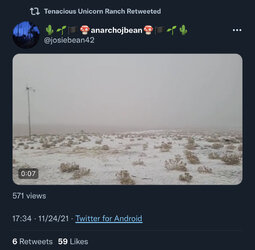869E0293-5DA9-4291-95B6-88D130FFE969.jpeg