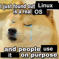 linux.jpg