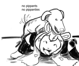 1638142828793.png