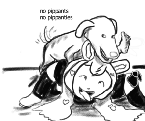 1638144617618.png