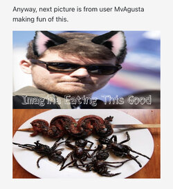 F5FEFD16-CE7E-414C-B9A3-C0C4E498B3C7.jpeg