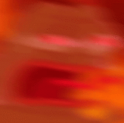 политика-трамп-Байден-выборы-3969423.gif