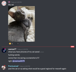 cat1.png