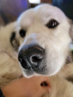 858371E6-A357-4867-B230-9B699AD6FDDA.jpeg