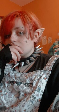 elf3.jpg