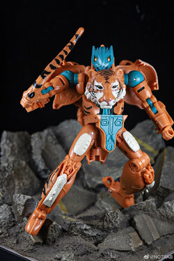 Golden-Disk-Collection-Mutant-Tigatron-07.jpg