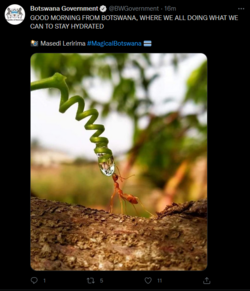 Botswana.PNG