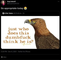 Fucking Birds.png