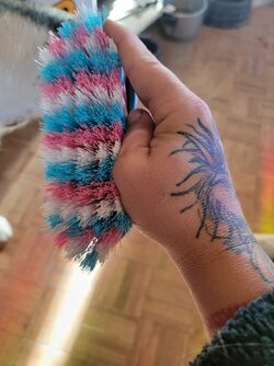 5247CA65-CBA3-4C2C-855D-C4E3126820A6.jpeg