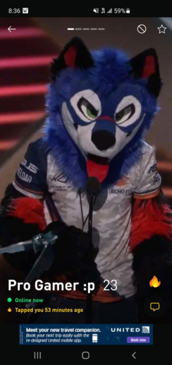 sonicfox.png