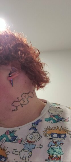aiestrogen.jpg