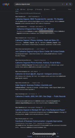 Google Search.png