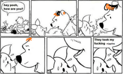 hey-pooh-how-are-you-they-took-my-fucking-eyes-18460829.png