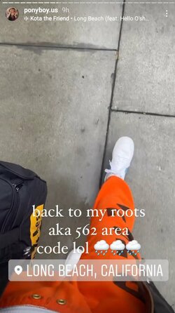 12920212.jpg