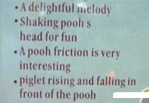 Pooh_frictions_are_very_interesting_.jpg