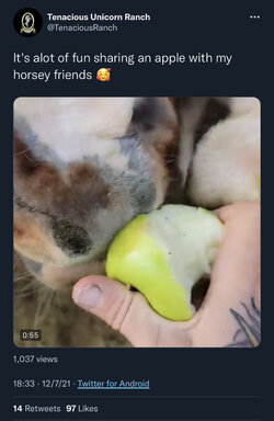 CC1C1E0A-AEBF-413C-8F5E-784A7D2DA87E.jpeg