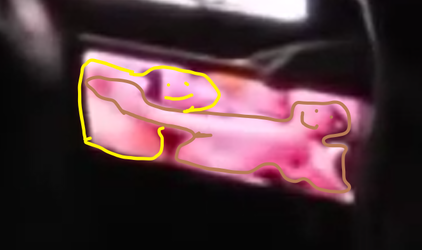 stu.png