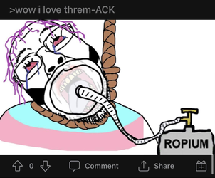 1639229924268.png