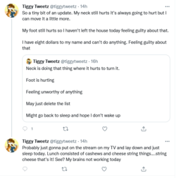 Screenshot 2021-12-12 at 04-05-58 Tiggy Tweetz ( tiggytweetz) Twitter.png