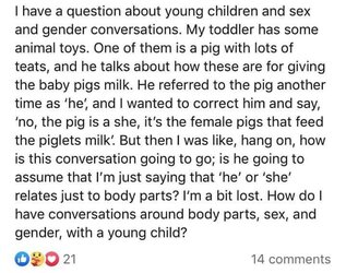 1.JPG
