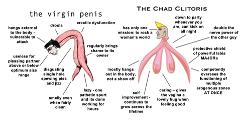 Tumblr_l_56963451461620.png