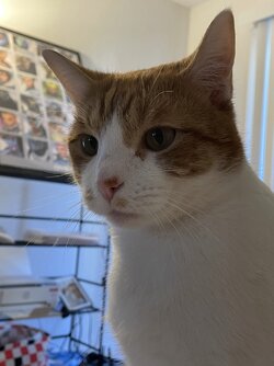 IMG_0554.JPEG