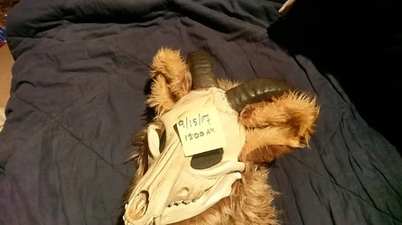 IMAG1583.jpg