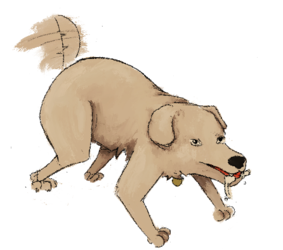 Dog jamitor.png