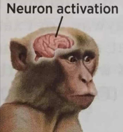 nurronz.png