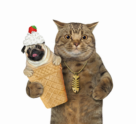 pugcone.png
