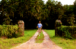 f82d58a22a8315810175eaa332e9c979.gif