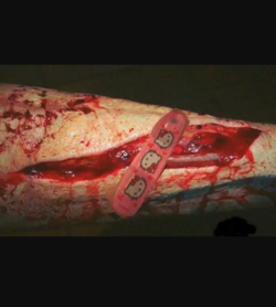 Screenshot_20211216-014507.png