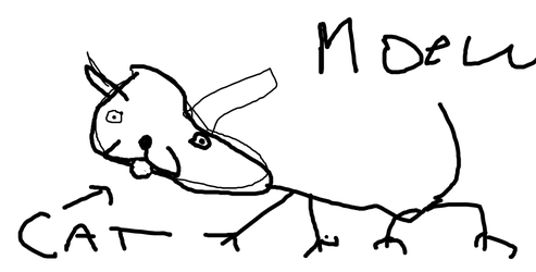 cat4.png