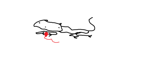 yarn.png