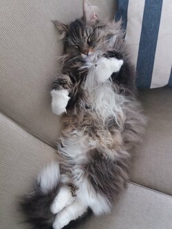 20180511_105238.jpg