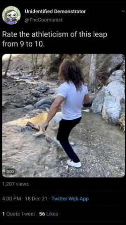 easy gif1639866720878.gif