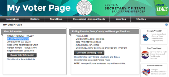 Voter ID.png
