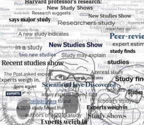 soyboy recent study.png