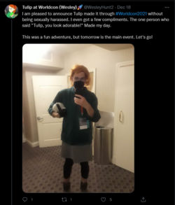 12.png